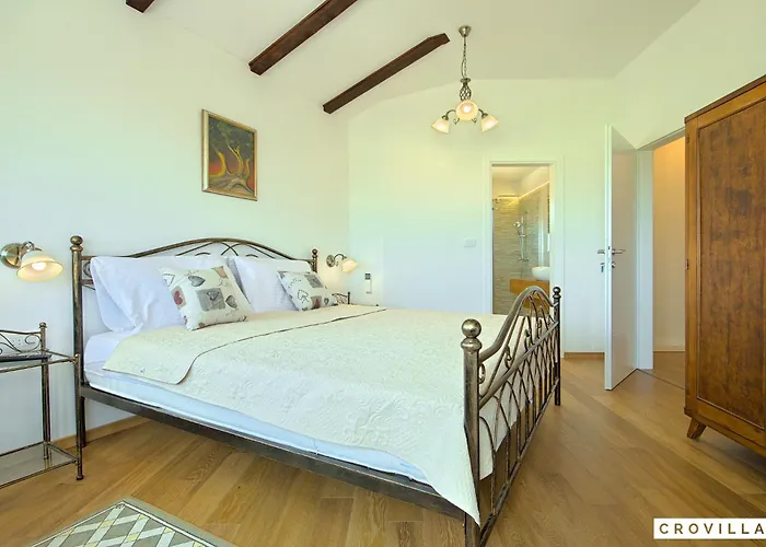 Complex Luve * Rosini